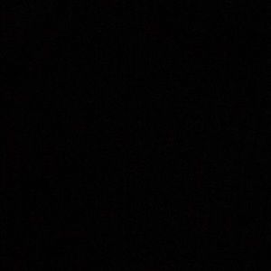 Meet your Posher, Justyce